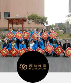 西纳维思祝您新年快乐吉祥如意