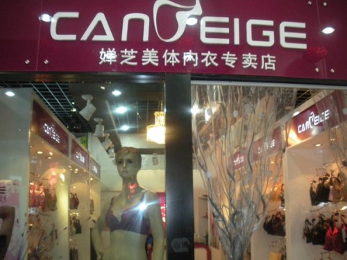 韩国婵芝-Caneige店铺