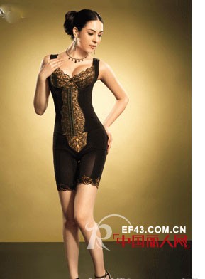 韩之恋品牌内衣，为您调整身段、雕塑美丽健康身材