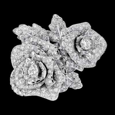 Dior(迪奥)创意花园里盛放的玫瑰带来恒久的美丽