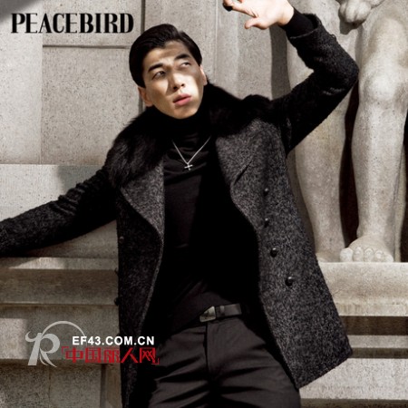太平鸟-peacebird