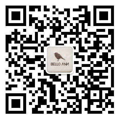 BELLO ANN 新年特别企划——新年新装扮