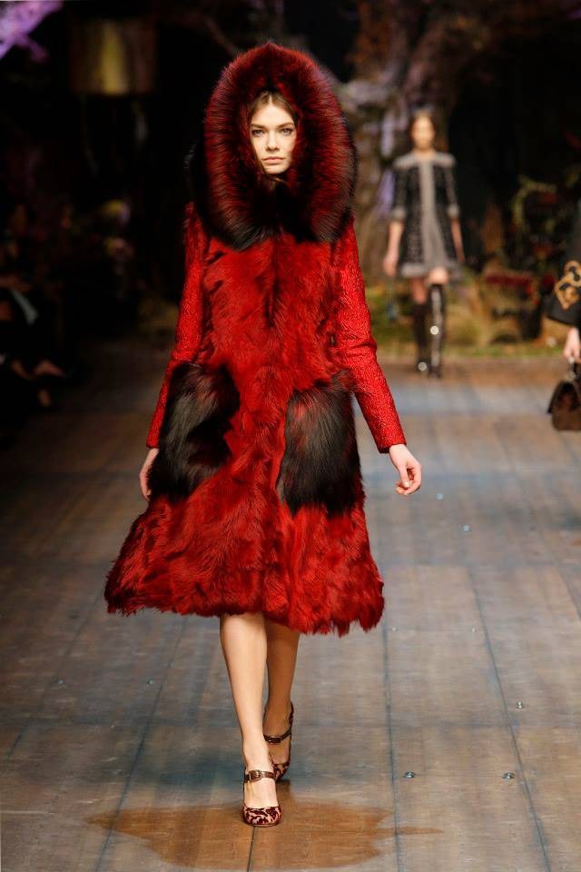 米蘭時裝周Dolce&Gabbana 2014秋冬系列發布