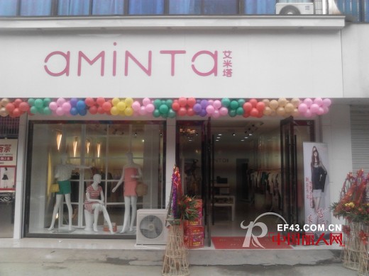 艾米塔 - AMINTA
