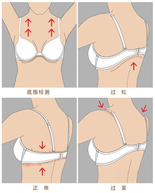 如何判断文胸底围是否合适 内衣穿戴合适的检查方法