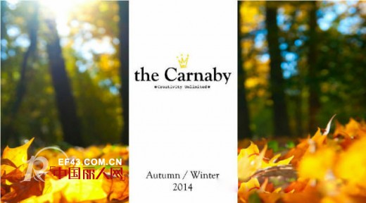 the Carnaby 2014秋冬——大地色彩