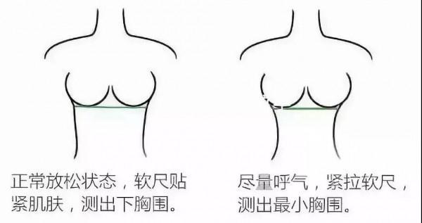 内衣知识|女性胸围尺码 正确测量方法