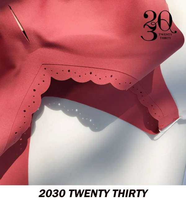 2030 Twenty Thirty