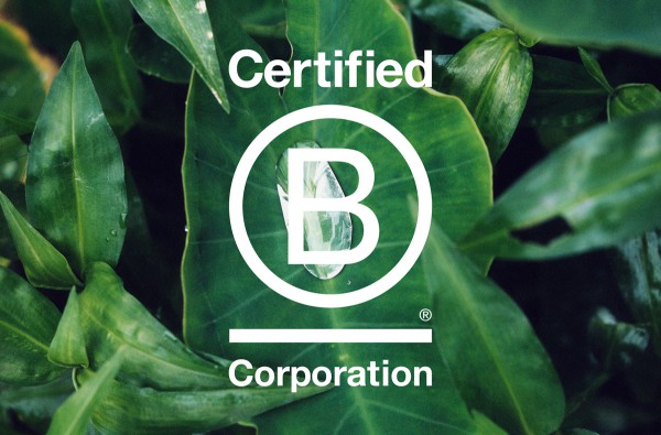 蔻依Chloé获得共益企业（B Corp）认证