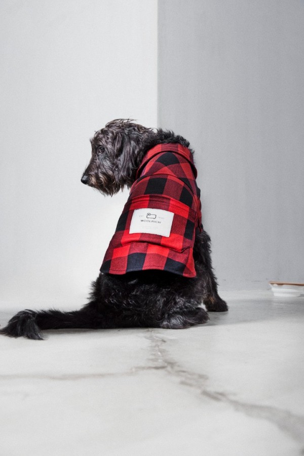 美国户外服装Woolrich携手 Temellini Dog à Porter 打造首个狗狗服饰系列