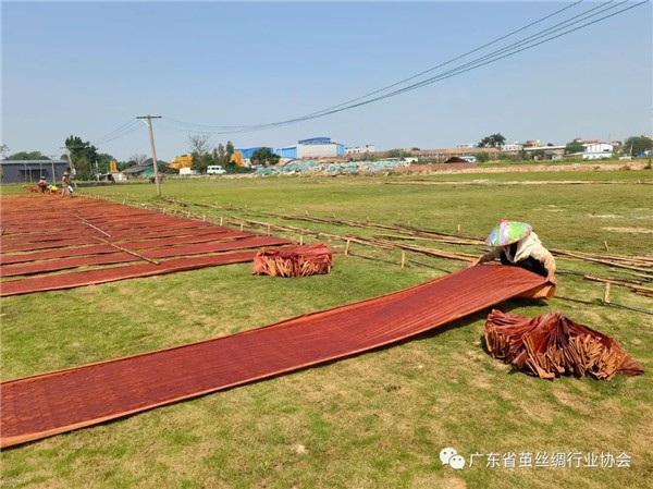 地方协会：广东省茧丝绸行业协会调研丝绸产业