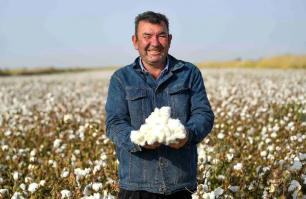 新疆棉花也要有二维码身份证拉！已在疆内10家企业推广应用