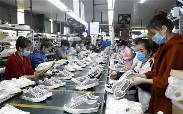 数据：前5个月越南皮革和制鞋行业明显复苏