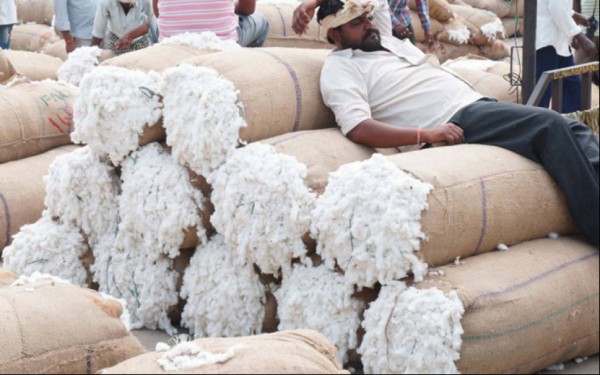 印度机构：纺织业压力持续,下半年有望恢复
