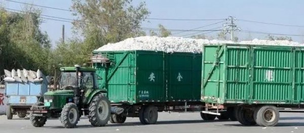 临近年度末期 新疆棉发运量大增