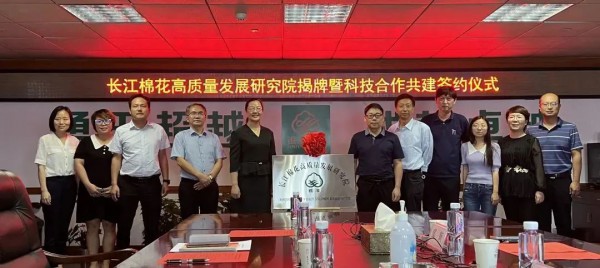 湖北棉花协会：两龙头牵手促进长江流域棉花高质量发展