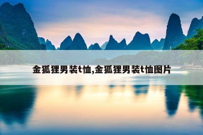 金狐狸男装t恤,金狐狸男装t恤图片