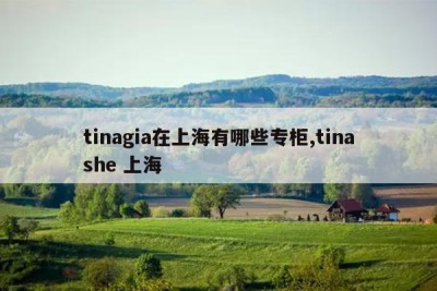 tinagia在上海有哪些专柜,tinashe 上海