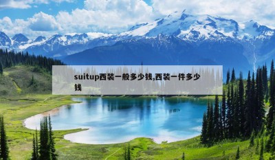 suitup西装一般多少钱,西装一件多少钱