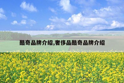 酷奇品牌介绍,奢侈品酷奇品牌介绍