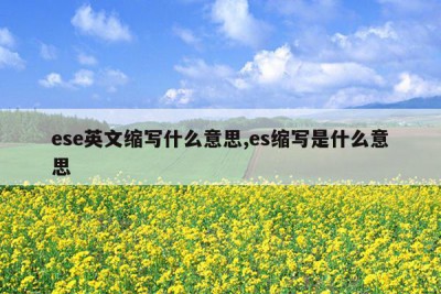 ese英文缩写什么意思,es缩写是什么意思