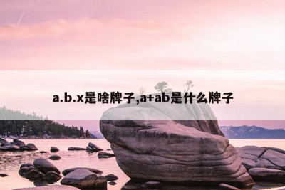 a.b.x是啥牌子,a+ab是什么牌子