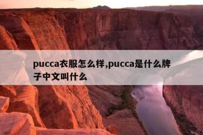 pucca衣服怎么样,pucca是什么牌子中文叫什么