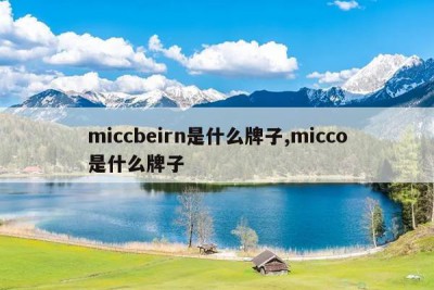 miccbeirn是什么牌子,micco是什么牌子