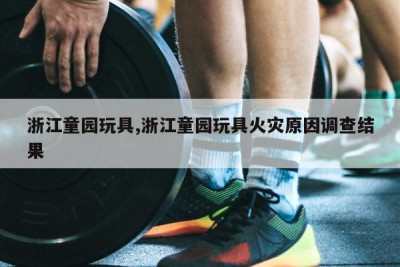 浙江童园玩具,浙江童园玩具火灾原因调查结果