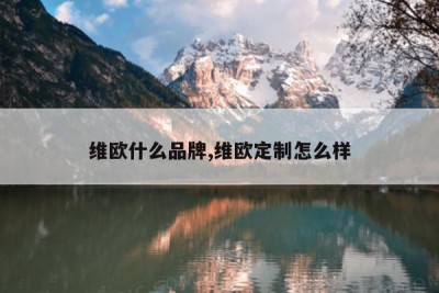 维欧什么品牌,维欧定制怎么样