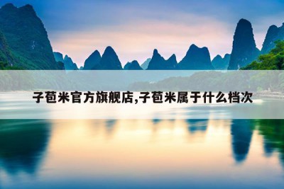 子苞米官方旗舰店,子苞米属于什么档次