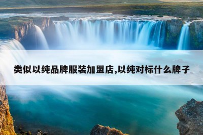 类似以纯品牌服装加盟店,以纯对标什么牌子