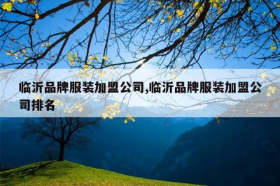 临沂品牌服装加盟公司,临沂品牌服装加盟公司排名