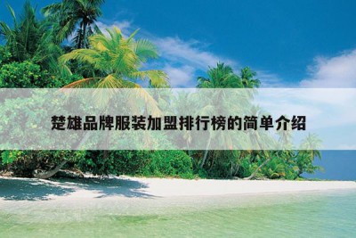 楚雄品牌服装加盟排行榜的简单介绍