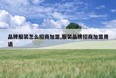 品牌服装怎么招商加盟,服装品牌招商加盟用语
