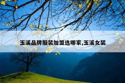 玉溪品牌服装加盟选哪家,玉溪女装