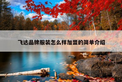 飞达品牌服装怎么样加盟的简单介绍