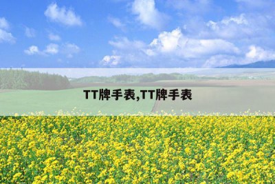 TT牌手表,TT牌手表