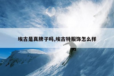 埃古是真牌子吗,埃古特服饰怎么样
