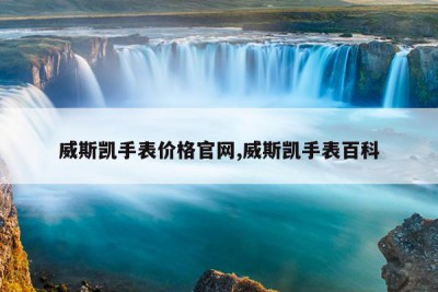 威斯凯手表价格官网,威斯凯手表百科