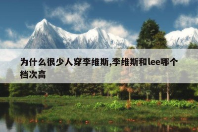 为什么很少人穿李维斯,李维斯和lee哪个档次高