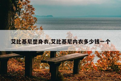 艾比基尼塑身衣,艾比基尼内衣多少钱一个