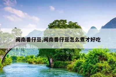 闽南番仔豆,闽南番仔豆怎么煮才好吃
