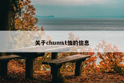 关于chumst恤的信息