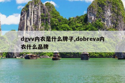 dgvv内衣是什么牌子,dobreva内衣什么品牌