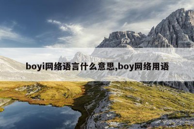 boyi网络语言什么意思,boy网络用语