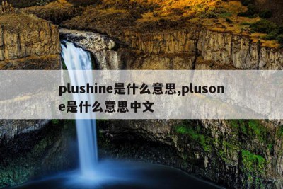 plushine是什么意思,plusone是什么意思中文