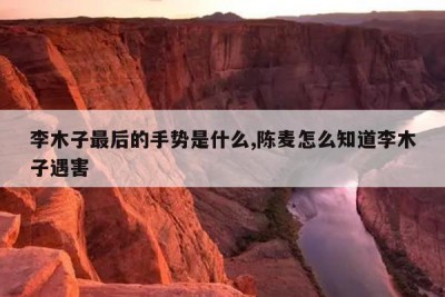 李木子最后的手势是什么,陈麦怎么知道李木子遇害
