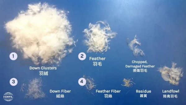 台湾羽毛公会发表市售羽绒产品抽检报告 “两大坑”勿踩