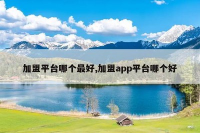 加盟平台哪个最好,加盟app平台哪个好